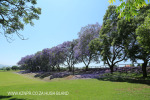St Johns College cricket and rugby fields (25)