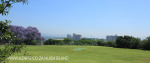 St Johns College cricket and rugby fields (5)