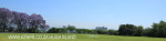 St Johns College cricket and rugby fields (6)