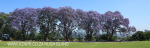 St Johns College cricket and rugby fields (7)