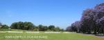 St Johns College cricket and rugby fields (9)