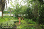 St Johns School Biblical garden