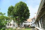 St Johns School St Josephs block (2)