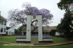 St Johns School belltower (2.) (1)