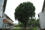 St Johns School buildings general (4)