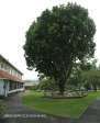St Johns School buildings general (5)