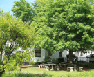 St Johns School picnic site