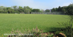 St Johns School sports field)