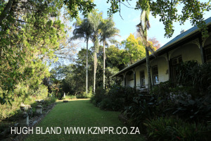 PMB - The Cedars- Town Bush valley