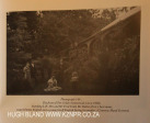 The Cedars  - The English family 1900.. (2)