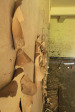 PMB - Old St Annes Hospital - Loop Street - Interior Rooms (11)