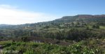 pmb-queen-elizebeth-park-views-from-oak-park-town-bush-road-s-29-33-43-e-30-19-37-elev-881m-4