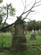 Voortrekker Cemetery West - Grave Gray Family (1)