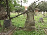 Voortrekker Cemetery West - Grave Gray Family (2)