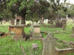 Voortrekker Cemetery West - Grave Henry B Neaves 1909 (1)