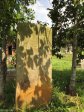 Voortrekker Cemetery East grave illegible (2)