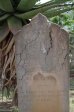 Voortrekker Cemetary  East - Grave Mary Ann Essex 1917 wife of James
