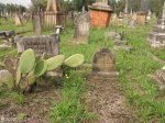 Voortrekker Cemetery East grave  Theophilus Jonsson Shepstone 1895 infant son of Walter