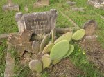 Voortrekker Cemetery East grave Walter Scott Shepstone 1935