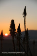 Dusk to Dawn - Piet Retief sunset (5)