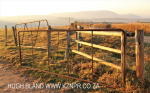 Dusk to Dawn - gates and entrance road) (6)
