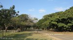 pongola-residential-street