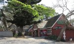 r102-forrest-inn-hotel-s-28-54-821-e-31-47-493-elev-93m-4