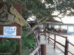zinkwazi-beach-restuarant-s29-16-983-e-31-26-587-elev-14m-7