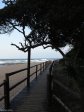 zinkwazi-beach-s29-16-983-e-31-26-587-elev-14m-1