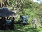 port-edward-umtamvuna-nature-reserve-s-31-03-921-e-30-10-658-elev-10m