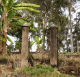Maris Stella - garden gate