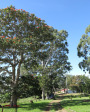 Port Shepstone - St Faiths - Maris Stella 1909  - S 30.39.33 E 30.23.51 Elev 274m (18)