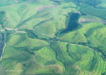 Port Shepstone Canefields inland of coast (2)