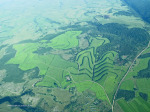 Port Shepstone Canefields inland of coast (3)