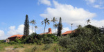 mzumbe-st-elmos-convent16