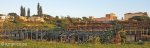 port-shepstone-station-derelict-buildings-10