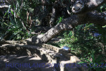 Ramsgate-sound-garden-2