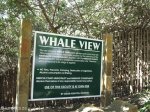 ramsgate-south-whale-views-s-30-53-382-e-30-20-863-elev-26m-1
