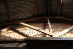 Reichenau-Farm-Piggery-1
