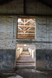Reichenau-Farm-Piggery-2