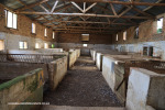Reichenau-Farm-Piggery-3