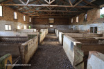 Reichenau-Farm-Piggery-4