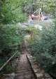 Reichenau-Mill-steps-toTurbine-site-8