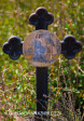 Reichenau church cemetery (3)