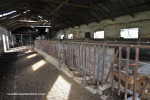 Reichenau-dairy-and-outbuildings-10