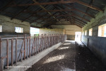 Reichenau-dairy-and-outbuildings-13