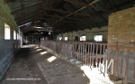 Reichenau-dairy-and-outbuildings-9