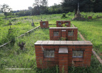 Reichenau-grave-yard-and-graves-24