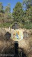 reichenau-cemetary-4