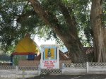 reservoir-hills-clare-valley-sri-siva-woonathie-mundal-siripat-road-s-29-47-58-e-30-57-31-elev-26m